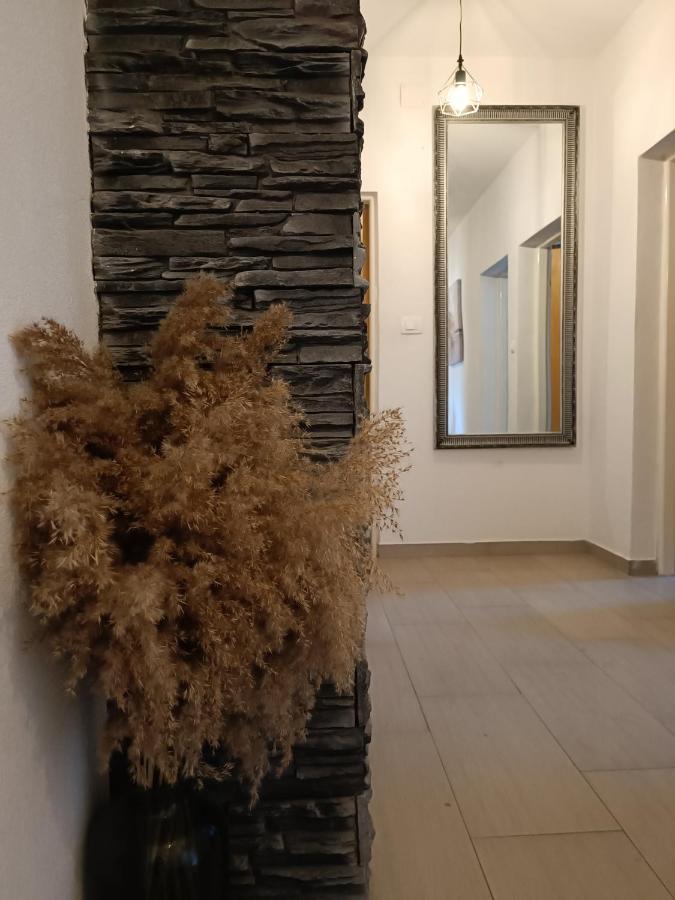 比奥格勒·纳·莫鲁Apartman Brigita公寓 外观 照片